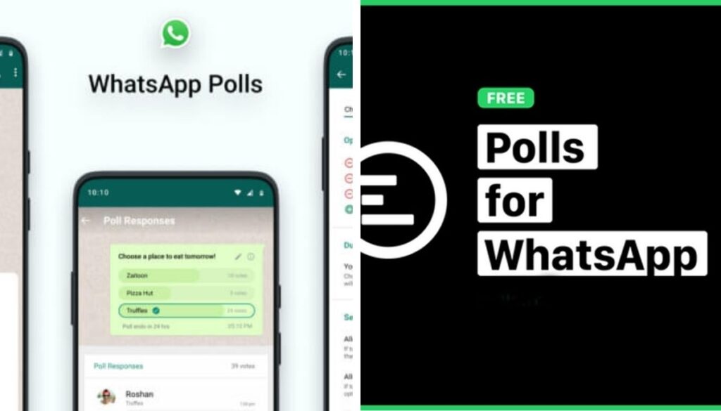 WhatsApp पर Polls कैसे बनाएं? जानिए आसान तरीका, हर कोई कर सकेगा इस्तेमाल